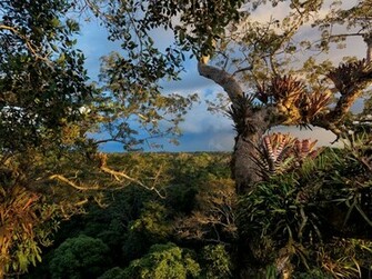 Yasun Picture Ecuador Wallpaper National Geographic Photo Of