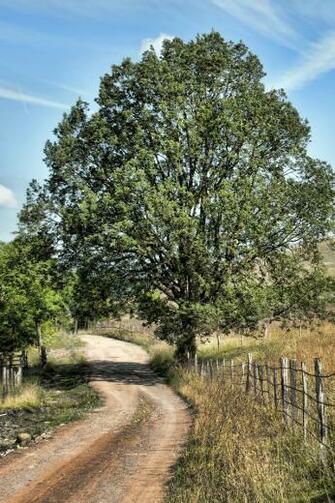 Country Road HD iPhone 4s Wallpaper And Background