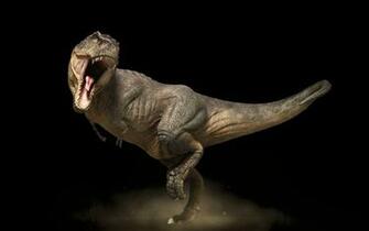 Wallpaper Tyrannosaurus Rex