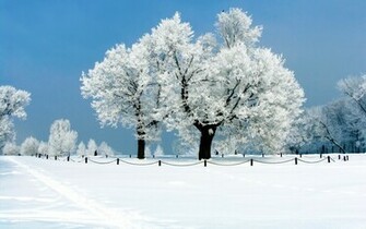 Snow Desktop Background Winter Wallpaper