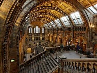 History Museum HD Wallpaper Hivewallpaper