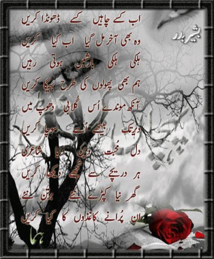 Wallpaper Funny Poetry Animals All In One HD