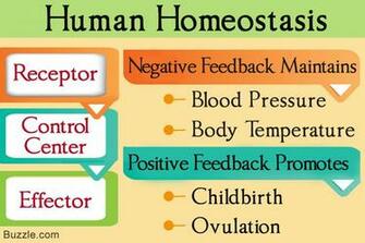 Homeostasis Image In Collection