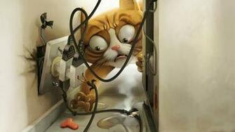Crazy Cat HD Cool Wallpaper