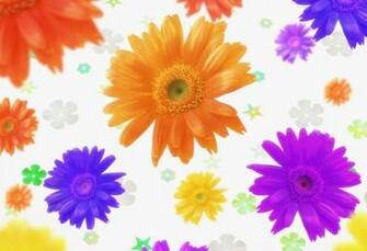 Beautiful Flowers Desktop Photos Colorful Wallpaper