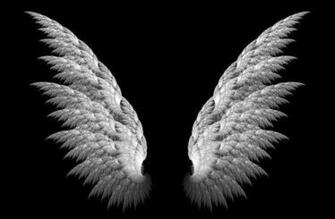 Wings 3d Black Background Wallpaper Desktop