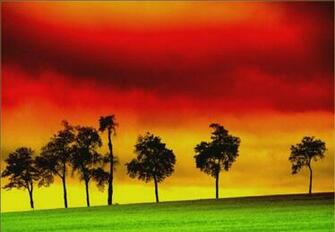 Reggae Wallpaper
