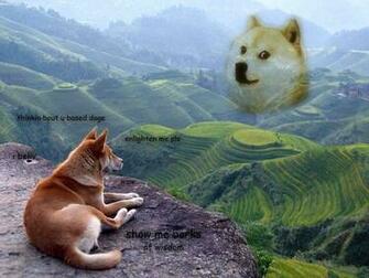 Doge Meme Wallpaper Shibe