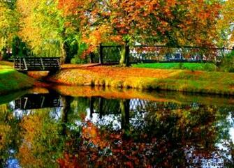 Fall And Screensavers My