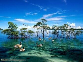 Amazing Nature Wallpaper National Geographic