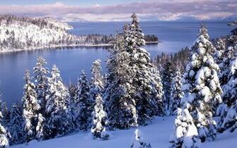 Winter Dreamy Snow Scene Wallpaper