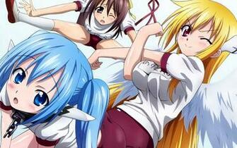 Sora Nenhum Otoshimono Vetor