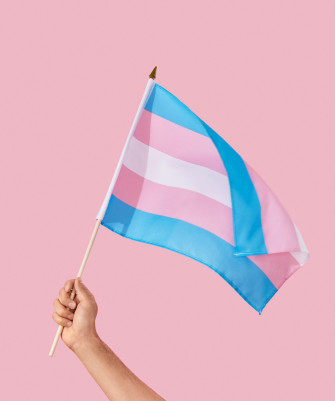The History Of Transgender Pride Flag Wallpaper