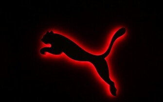 Puma Wallpaper By Analyzercro