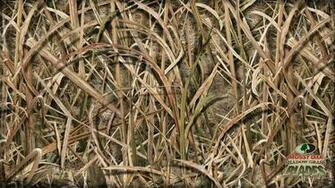 Realtree Camo Pink Wallpaper Snow