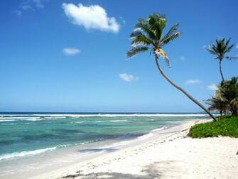 Wallpaper Stcroix Caribbean Sea Beach Bounty Landscapes