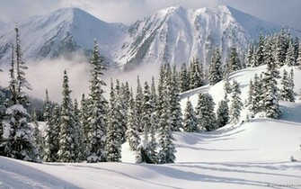 Snow Scenes Art Prints And Poster Buy A