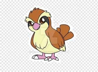 Drawing Pidgeotto Pidgey Pok Dex Pokemon Background Png Pngwave