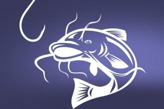 Everything You Need To Know About The Catfishing Epidemic