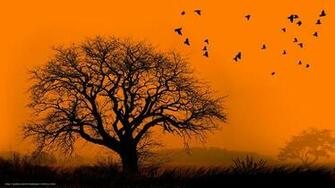 Wallpaper Lonely Tree A Flock Of Birds Desktop