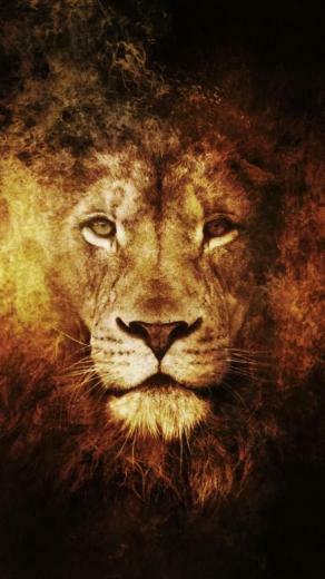 iPhone X Wallpaper Hintergrund Bildschirmschoner L We Wallpaper2