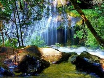 Funzug So Nice Nature Wallpaper