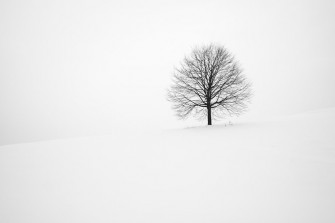 Winter Wallpaper HD Hq