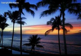 Another Beautiful Maui Sunset Hawaii Pictures