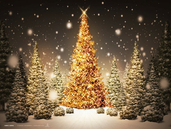 Net Wallpaper Holidays Christmas Tree Desktop