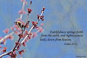 Be Sure To Link Up With Katie For More Inspiring Snapshot And