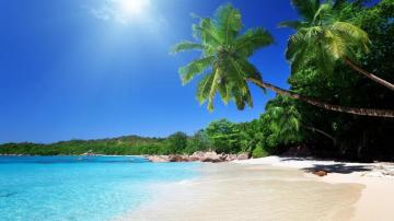 Beach Scene Wallpaper