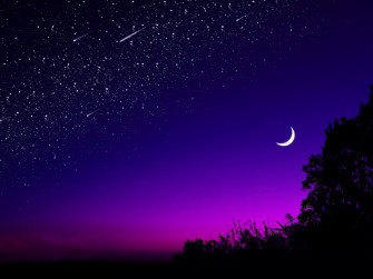 Wallpaper 4k Moon Tree Starry Sky Night Stars Dark