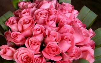 The Most Beautiful Flower Wallpaper Of World