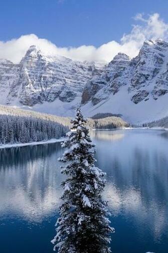 Good Quality iPhone Wallpaper Site