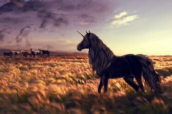 Black Unicorn HD Desktop Wallpaper New