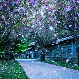 Mississauga Kariya Park Canada Wallpaper