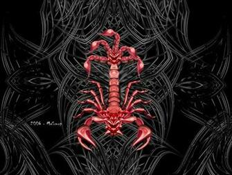 For Tribal Scorpion Wallpaper Displaying Image