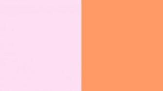 Resolution Pink Lace And Orange Solid Two Color