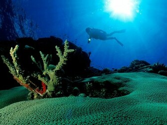 Underwater Wallpaper And Background