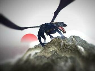 Black Dragon Wallpaper Pictures