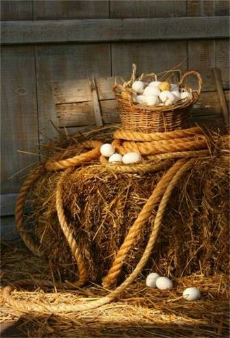 Amazon Aofoto Farmhouse Barn Photography Background
