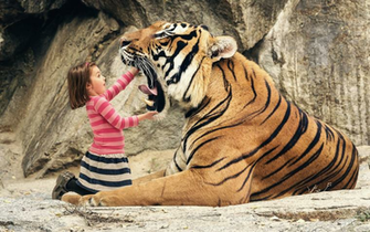 Wallpaper Funny Big Tiger Dental