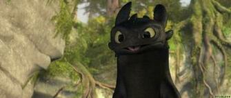 Dragon Toothless Train Your Wallpaper