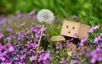 Wallpaper De Danbo HD