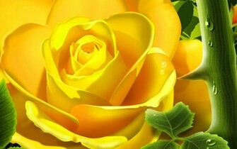 Yellow Rose Wallpaper