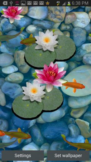 3d Koi Pond Live Wallpaper For Android