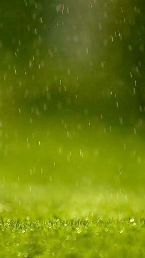 Lg G3 Wallpaper HD Shy Android