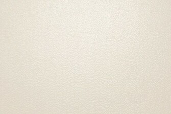 Cream Colored Background