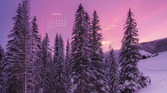 January Wallpaper Bies For Desktop Phones