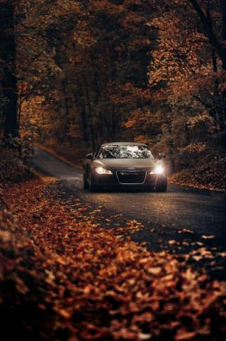 Sports Car Pictures Image